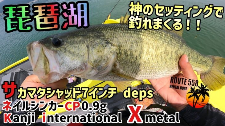 琵琶湖バス釣り１日で驚異の12キロオーバー！サカマタシャッド７インチにネイルシンカーCP 0.9ｇのセッティングでやばすぎるアクション！ランカーバスも躊躇なく喰う！レンタルボートROUTE558