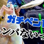 ガチペン130を磯に持って行ったら青物祭り