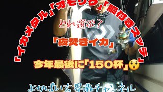 「イカ釣り」150杯玄界灘で夜焚きイカ、爆釣！