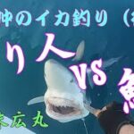 白老沖のイカ釣り後編　2022 09　釣り人 vs 鮫