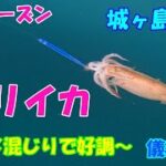 2022シーズン　ヤリイカ釣り　城ヶ島沖、始まりました！！　【ヤリイカ釣り】【直結仕掛け】【ピッカピカ針】【水中映像】