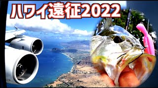 【バス釣り】2022年ハワイのバス釣りの様子「ノンプレッシャーで入れ食い！？それとも、、、」【超久しぶり海外遠征釣り】