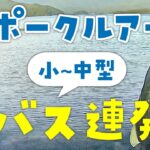 【バス釣り】2022年夏の河口湖オカッパリ！ポークルアーで小〜中サイズのブラックバス連発！