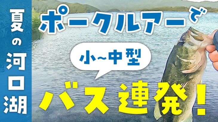 【バス釣り】2022年夏の河口湖オカッパリ！ポークルアーで小〜中サイズのブラックバス連発！