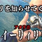 【エギング】新釣法！！誰も教えてないアタリのとりかた編。アタリがわからない人は必見です！！2022 9月　エギング