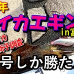 【2022年秋イカエギング＃02】富山県でアオリイカの新子調査！気になる今年の状況は？富山エギング