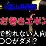 【2022年秋イカエギング＃04】富山県西部でただ巻きエギング！ただ巻きであまり釣れない人向け！釣れない理由は実は〇〇がダメかも？