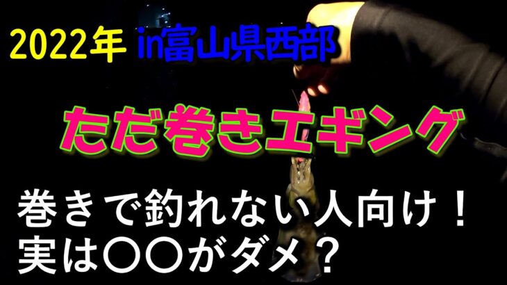 【2022年秋イカエギング＃04】富山県西部でただ巻きエギング！ただ巻きであまり釣れない人向け！釣れない理由は実は〇〇がダメかも？