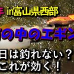 【2022年秋イカエギング＃05】富山県西部で雨の中のエギング釣行！雨の日のイカの反応は？こんな日はこれが効く！