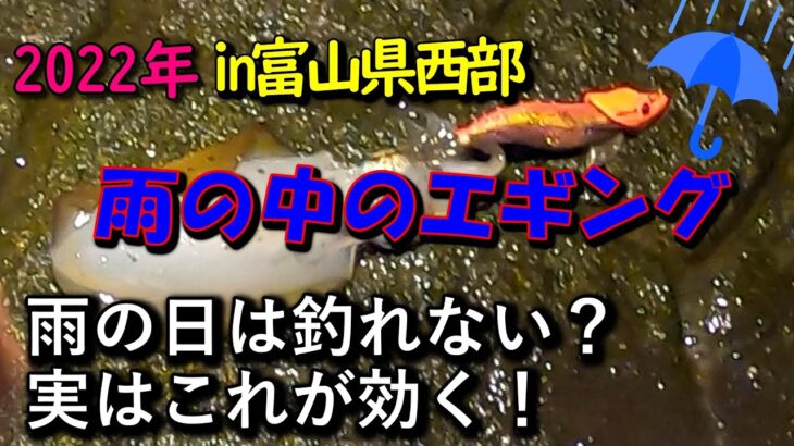 【2022年秋イカエギング＃05】富山県西部で雨の中のエギング釣行！雨の日のイカの反応は？こんな日はこれが効く！