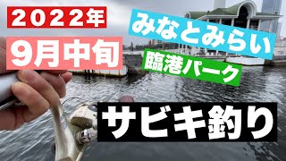 【2022年9月中旬中潮!みなとみらい臨港パークサビキ釣り！】#サビキ釣り #釣り #みなとみらい #臨港パーク