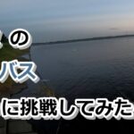 初秋のシーバス釣りに挑戦してみたら…【2022年9月10日】