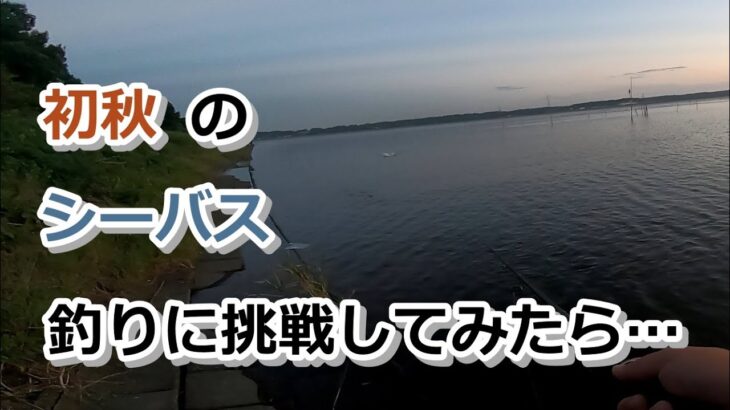 初秋のシーバス釣りに挑戦してみたら…【2022年9月10日】