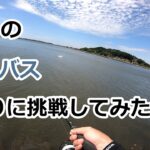 初秋のシーバス釣りに挑戦してみたが…【2022年9月10日】