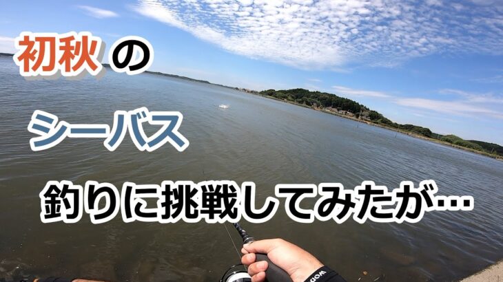 初秋のシーバス釣りに挑戦してみたが…【2022年9月10日】