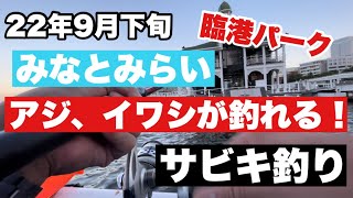 【22年9月下旬！みなとみらい臨港パーク サビキ釣り！】爆釣◯まずめがヤバすぎ！