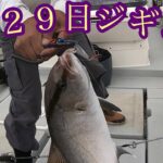 【釣り】９月29日ジギング調査