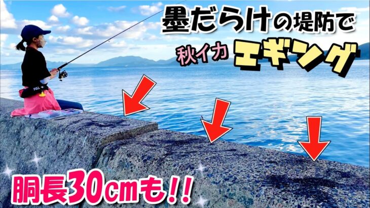 【エギング】墨だらけの釣り場でアオリイカを釣る♡ まさかの胴長30㎝!?