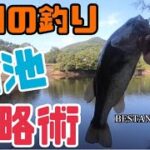 【9月バス釣り】初秋の溜池攻略法‼️巻きも撃ちも両立すべし❗️【バス釣り】【ジャッカル】【レイドジャパン】【ゲーリーヤマモト】