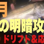 【東京湾奥シーバス】9月明暗のドリフト&応用編　〜ローリングベイト最強パート1〜