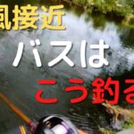 【9月・10月バス釣り】台風直前の野池でバスを爆釣！！秋のバス釣りは巻物ルアーで攻略・釣り方解説。釣れる条件これだ！【クランク】【チャター】【ミドスト】【スイムジグ】【レイドジャパン】【デプス】