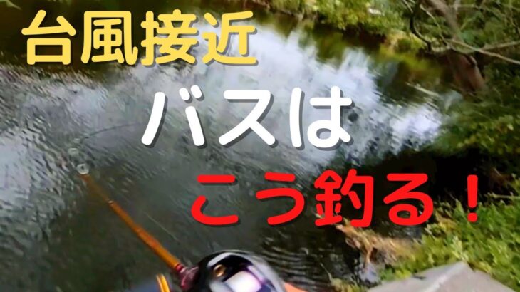 【9月・10月バス釣り】台風直前の野池でバスを爆釣！！秋のバス釣りは巻物ルアーで攻略・釣り方解説。釣れる条件これだ！【クランク】【チャター】【ミドスト】【スイムジグ】【レイドジャパン】【デプス】