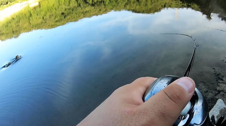 【秋のバス釣り】9月10月の野池でデカバスを釣る方法!!晴れた日中・昼間・夕マズメ狙い方を実践した結果…【ヤマセンコー】【エグチャンク３】【減水野池】【岡山水質調査隊】【TBM】