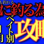 ルアー釣り初めてならまずベイトを知る事から！9・10・11月ベイト別攻略