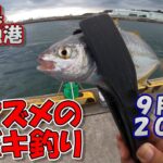 茨城県　久慈漁港　サビキ釣り　9月上旬　初めてトリックサビキを使ってみた　2022