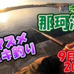 茨城県　那珂湊港　サビキ釣り　9月中旬　夕マズメから釣れ出しました　2022