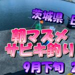 茨城県　日立港　サビキ釣り　9月下旬　朝マズメ　2022