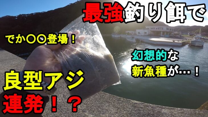 【千葉県某所】最強釣り餌で良型アジ連発！？秋が近付く9月上旬、関東地方の房総半島の太平洋側に面した外房の釣り場で釣りしてみたら、開始直後にアジが連発して幻想的な新魚種が…！【2022.09.06】