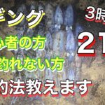 【エギング】9月上旬☆関西某堤防☆秋アオリイカ爆釣♪初心者必見！！これ見て釣ってください(^O^)和歌山・大阪湾・淡路島・釣り・コウイカ・キロアップ