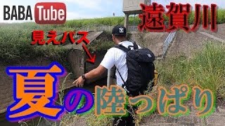 BABATube【釣リグルイまどか】真夏の遠賀川バスが釣れた！