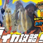 【CRONOでもいいカンジ ②】夏イカ攻略！　後編