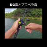 〈DC音とプロペラ音〉🧒#バス釣り #スピナーベイト #ベイトリール #ベイトタックル #bassfishing #shorts