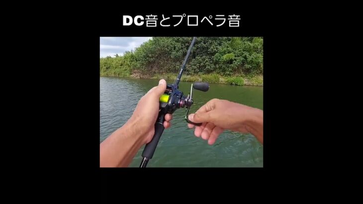 〈DC音とプロペラ音〉🧒#バス釣り #スピナーベイト #ベイトリール #ベイトタックル #bassfishing #shorts