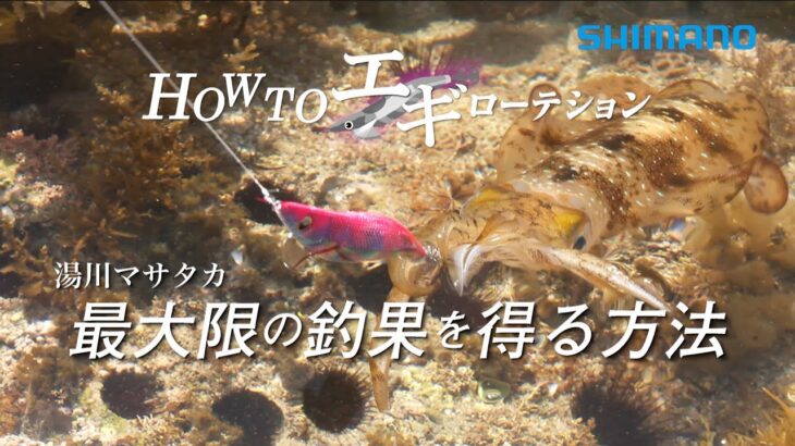 【エギングの基本】最大限の釣果を得る方法 HOWTOエギローテーション×湯川マサタカ【エギの動かし方】