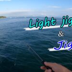 Light Jigging　＆　Jigging　in　アジアマリンサービス