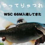 【バス釣り】五三川でスピナーベイト　ワイルドサイド６６Mに入魂してきた