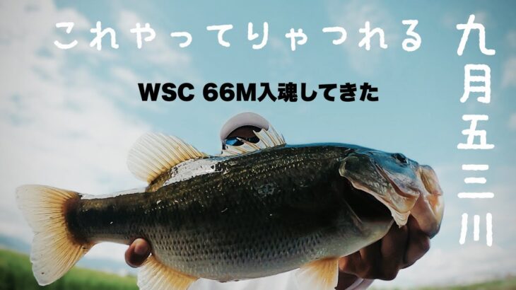 【バス釣り】五三川でスピナーベイト　ワイルドサイド６６Mに入魂してきた