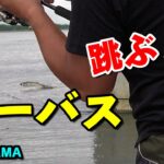 【シーバス釣り】大阪湾！阪神タイガースOB 狩野恵輔の釣り奮闘記 Vol 114