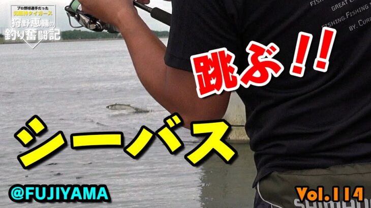 【シーバス釣り】大阪湾！阪神タイガースOB 狩野恵輔の釣り奮闘記 Vol 114