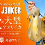 SOULJERKER#12 大分県南部エリア～ランガンエギングで狙う秋の良型アオリイカ～