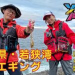 福井県・若狭湾　沖磯エギング（ソルパラTV・第103回2022年9月15日放送）