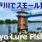 東京ルアー釣り、江戸川スモール狙い 金町 (Tokyo Lure Fishing, Bass, 小口黑鱸)