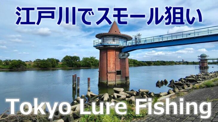 東京ルアー釣り、江戸川スモール狙い 金町 (Tokyo Lure Fishing, Bass, 小口黑鱸)