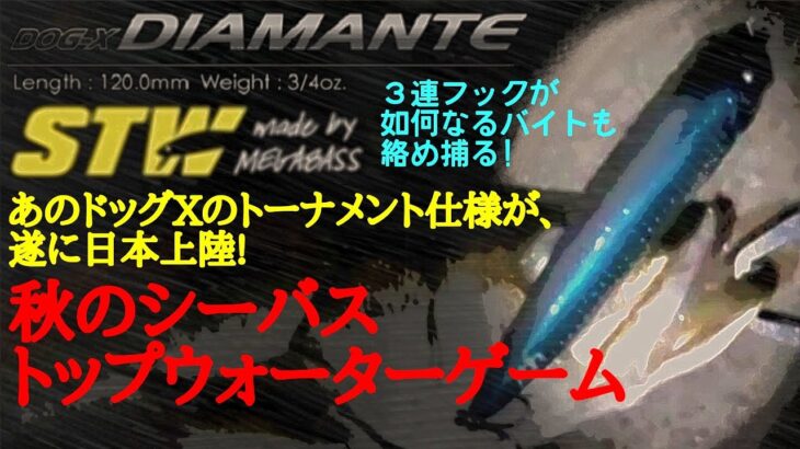 【秋のシーバス釣り】海内無双!!ドッグXディアマンテSW メガバス