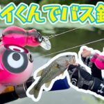 【真夏の琵琶湖でバスフィッシング】 ZEALのアライくんでブラックバスを狙う！Bass Fishing in JAPAN(Lake Biwako)