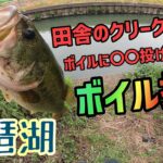 バスが溜まる場所でボイル打ち！田舎の水路でボイルが発生！琵琶湖内湖の水路は夏はバスだらけ！今年発売のdepsのMSグラブを試す！更にいつものDSTYLEのSVSBやっぱ釣れる【琵琶湖バス釣り】